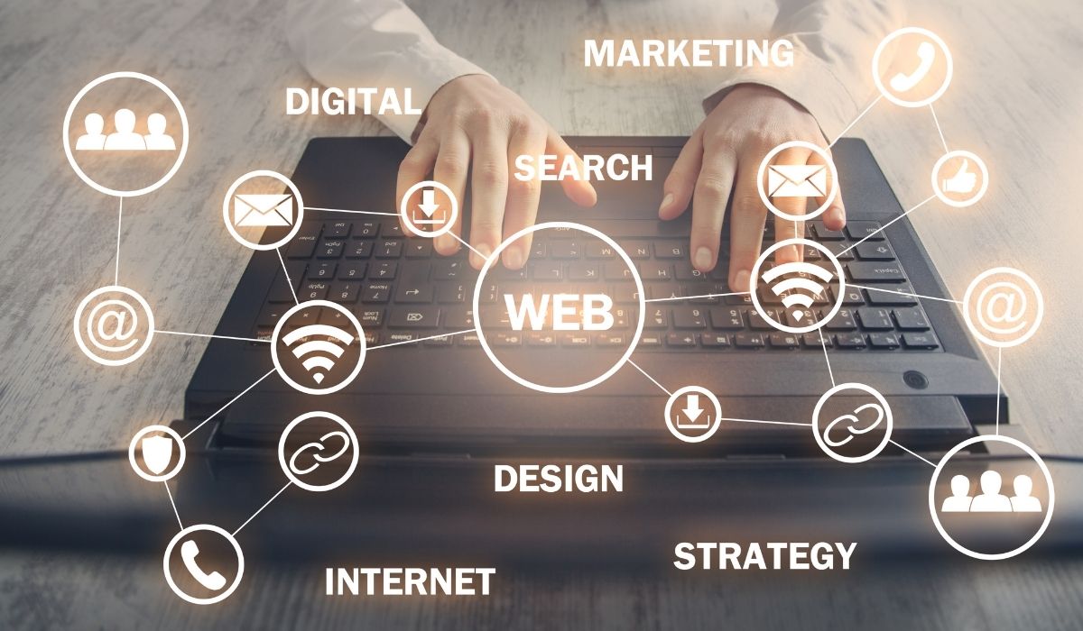 Altınova Web Tasarım